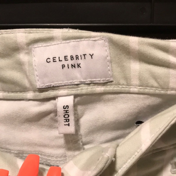 Celebrity Pink Light Green Striped Shorts - Picture 4 of 5